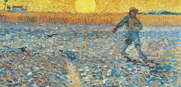 Travailler notre terre ! – 15° dimanche A – 12 juillet 2026