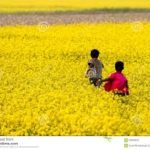 Permalink to: Eloge de la confiance - 11° dimanche ordinaire - 17 juin 2018